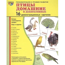 Демонстр. картинки "Птицы дом. и декор"(173х220мм)