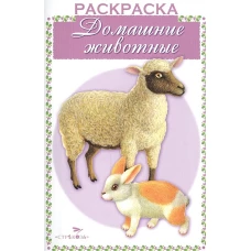 Раскраска. Раскрашиваем и учимся Домашние животные