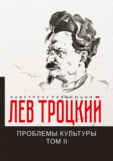 Проблемы культуры. Т. 2