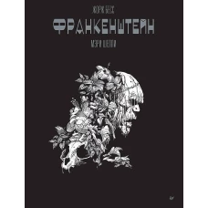 &laquo;Франкенштейн&raquo; Мэри Шелли. Графический роман