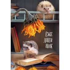 Ёжедневник. Блокнот для людей и ежей (книги) (А5 72 л.)
