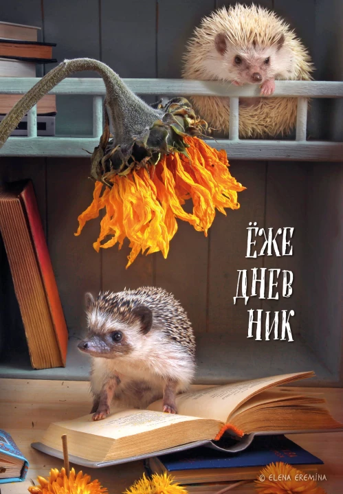 Ёжедневник. Блокнот для людей и ежей (книги) (А5 72 л.)