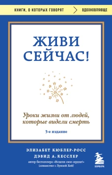 Живи сейчас! Уроки жизни от людей которые видели смерть (3-е издание)