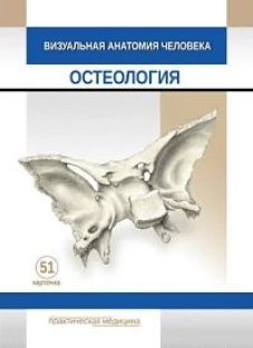 Визуальная анатомия человека. Остеология (карточки 51 шт.)