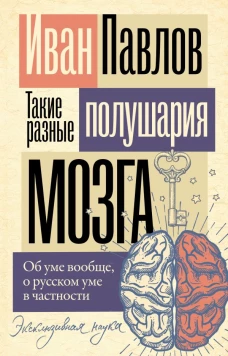 Такие разные полушария мозга. Об уме вообще о русском уме в частности