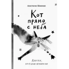 Кот прямо с неба