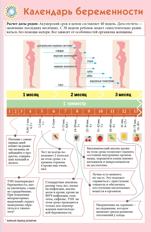 Танки в Харьковской катастрофе 1942 года. &laquo;Крупнейшая танковая битва&raquo;