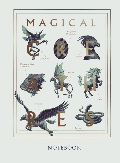 Неприглядная история. Как жили любили и болели в разные эпохи