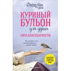Куриный бульон для души. Сила благодарности. 101 история о том как благодарность меняет жизнь (лучшая цена)