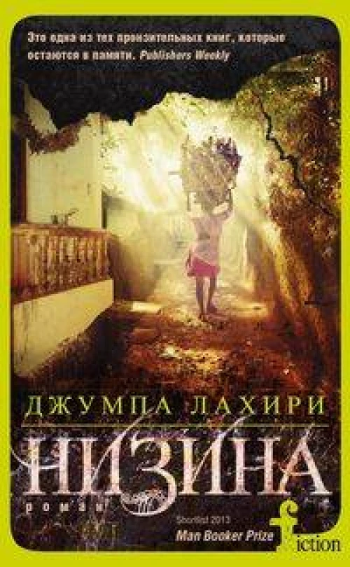 Низина