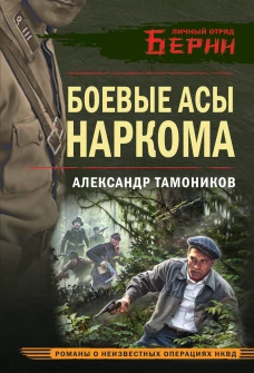 Боевые асы наркома
