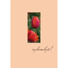 Чувствуй! Ежедневник недатированный (А5 72 л.)