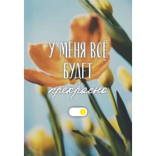 У меня все будет прекрасно. Ежедневник недатированный (А5 72 л.)