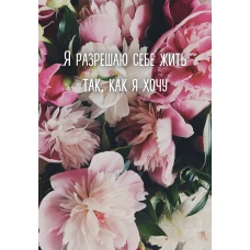 Я разрешаю себе жить так как я хочу. Ежедневник недатированный (А5 72 л.)