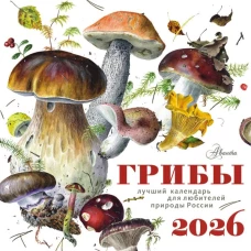 Календарь Грибы 2026 год