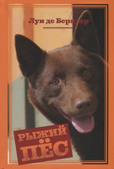Рыжий пёс