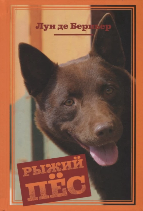 Рыжий пёс