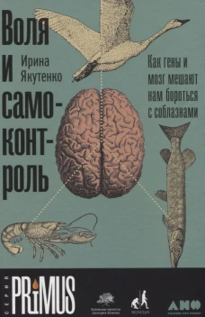 Воля и самоконтроль: Как гены и мозг мешают нам бороться с соблазнами