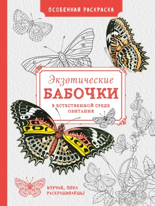 Особенная раскраска Экзотические бабочки