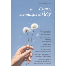 Слезы,летящие к Небу.Во что и как верят христиане?