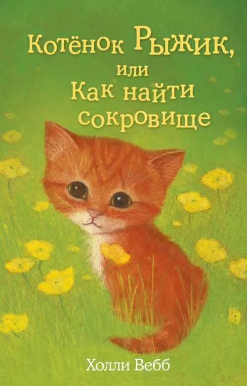 Котёнок Рыжик, или Как найти сокровище