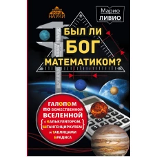 Был ли Бог математиком? Галопом по божественной Вселенной с калькулятором, штангенциркулем и таблицами Брадиса