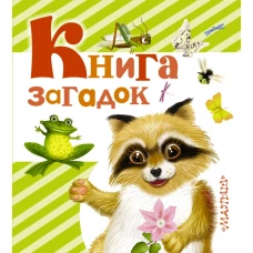 Книга загадок