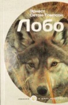 Labirint.ru