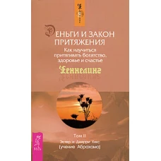 Деньги и Закон Притяжения. Том II