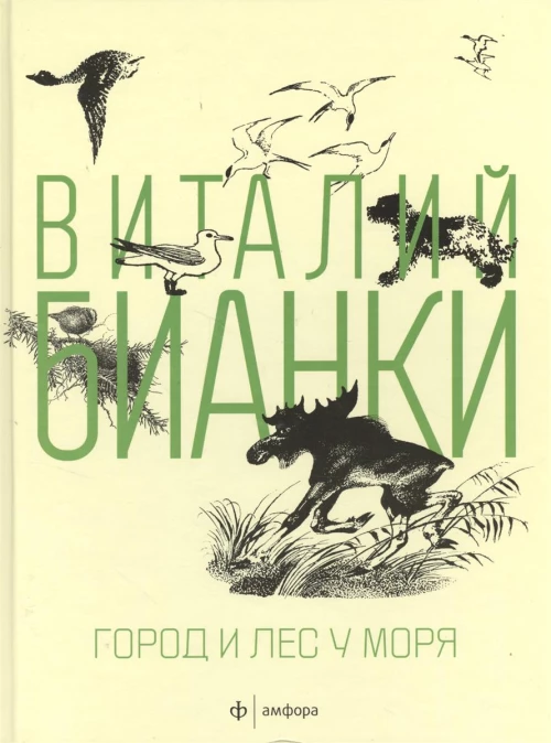 Город и лес у моря