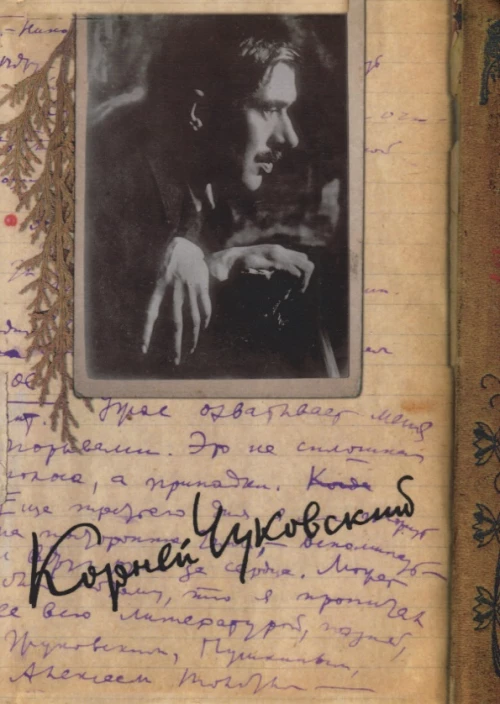 Корней Чуковский. Собрание сочинений в 15 томах. Том 12. Дневник (1922-1935)