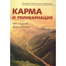 Карма и реинкарнация. От смерти до рождения