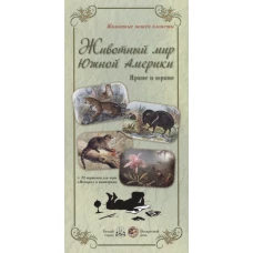 Животный мир Южной Америки (+72 карточки для игры "Мемори" и викторины)